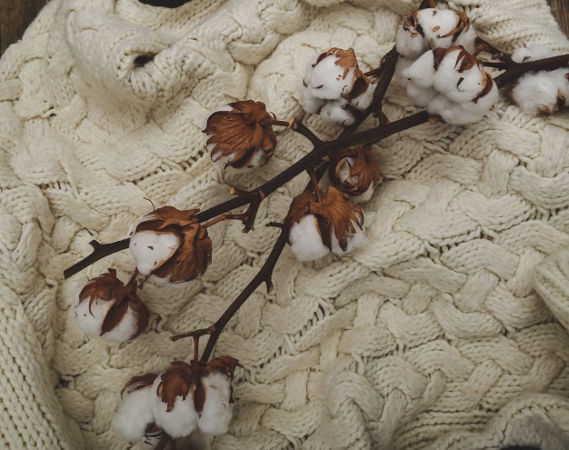 Biodegradable Fabrics: Embracing a Sustainable and Healthy New Era for Yoga Apparel
